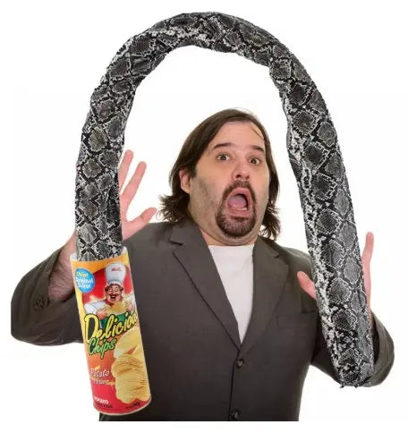Serpent Surprise : le serpent a ressort jaillit de la fausse boite de chips