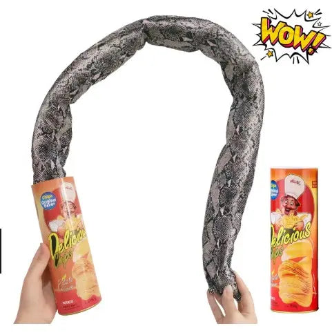 Serpent Surprise : la fausse boite de chips fermee